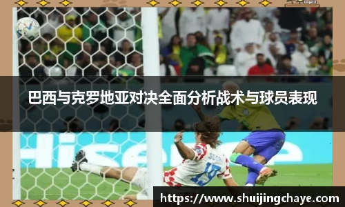 球王会体育官方网